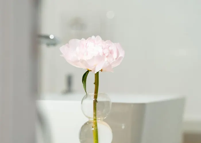 Pensión Maison Odile 4*